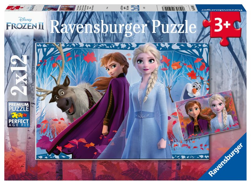 Puzzel 2x12 stukjes Frozen 2