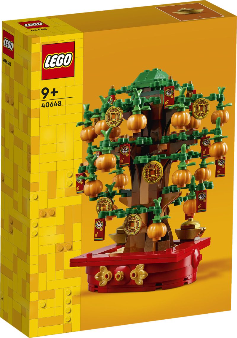 LEGO LEL Seasons and Occasions Geldboom