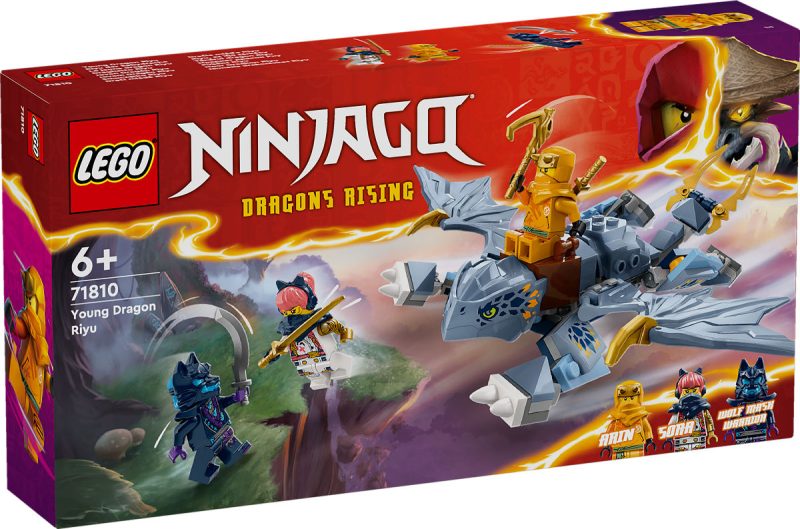 LEGO Ninjago Jonge draak Riyu